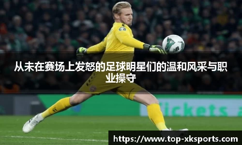 星空体育在线官网